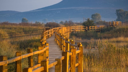 Nature parks