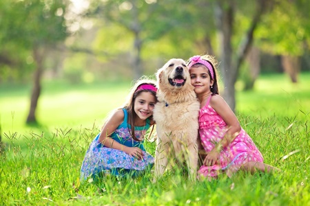 Pet friendly
